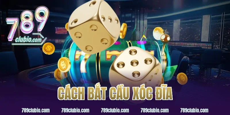 cách bắt cầu xóc đĩa