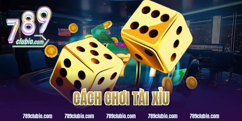 cách chơi tài xỉu
