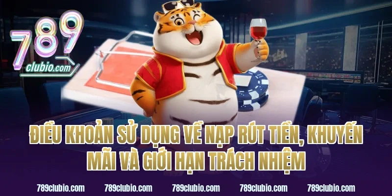 Điều khoản sử dụng về nạp rút tiền, khuyến mãi và giới hạn trách nhiệm