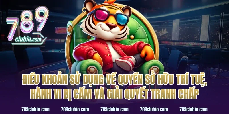 Điều khoản sử dụng về quyền sở hữu trí tuệ, hành vi bị cấm và giải quyết tranh chấp