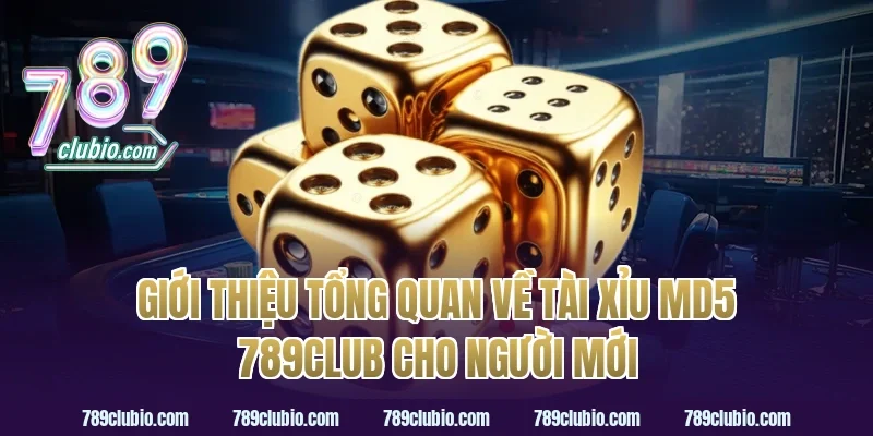 Giới thiệu tổng quan về tài xỉu md5 789club cho người mới
