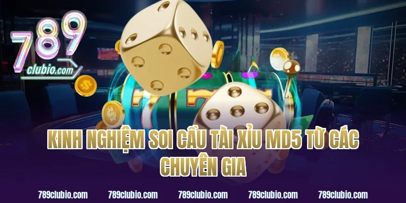 Kinh nghiệm soi cầu tài xỉu MD5 từ các chuyên gia