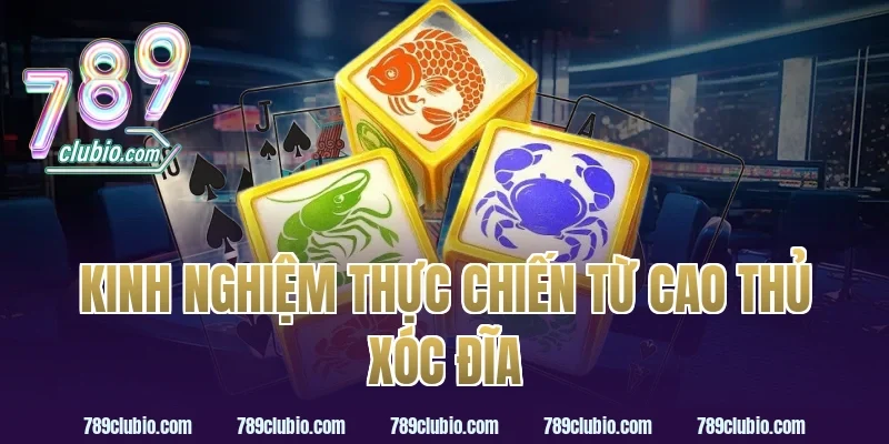 Kinh Nghiệm Thực Chiến Từ Cao Thủ Xóc Đĩa