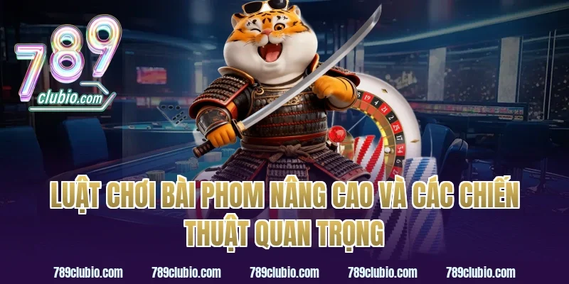 Luật chơi bài phom nâng cao và các chiến thuật quan trọng