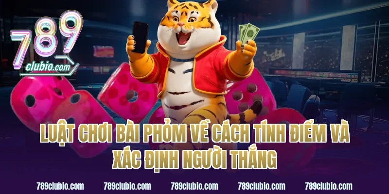Luật chơi bài phỏm về cách tính điểm và xác định người thắng