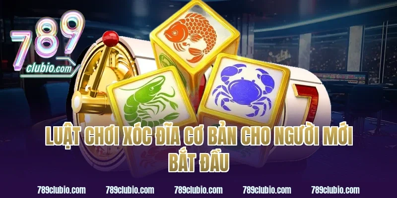 Luật chơi xóc đĩa cơ bản cho người mới bắt đầu