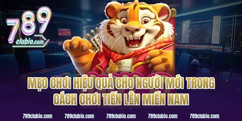 Mẹo chơi hiệu quả cho người mới trong cách chơi tiến lên miền nam