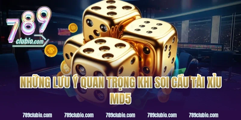 Những lưu ý quan trọng khi soi cầu tài xỉu MD5