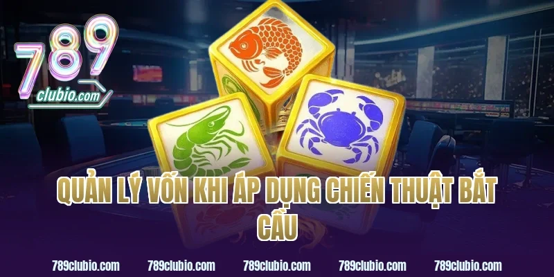 Quản Lý Vốn Khi Áp Dụng Chiến Thuật Bắt Cầu