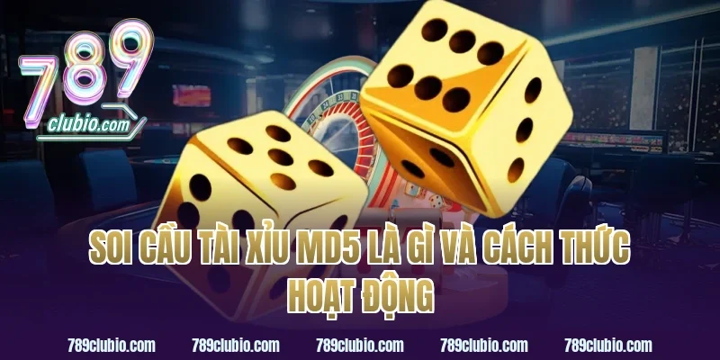 Soi cầu tài xỉu MD5 là gì và cách thức hoạt động