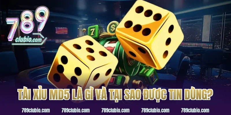 Cách Tính Tài Xỉu MD5 Là Gì Và Tại Sao Được Tin Dùng?